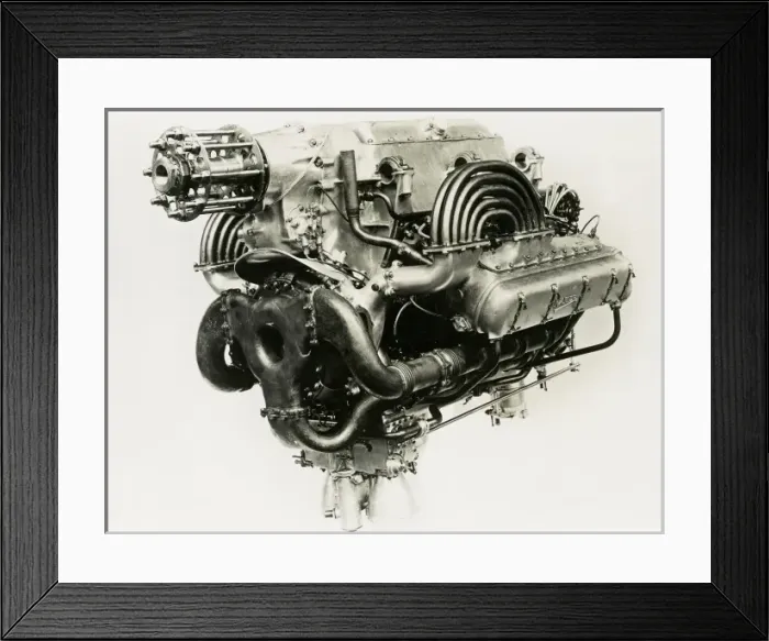 Framed Print : Napier Lioness E71S Framed Print : Napier Lioness E71S
