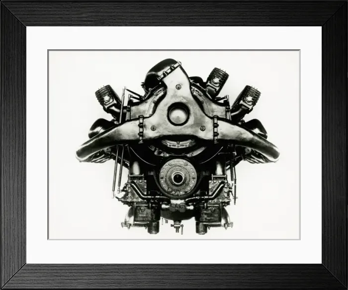 Framed Print : Lion Series VI supercharged rear view E76S Framed Print : Lion Series VI supercharged rear view E76S
