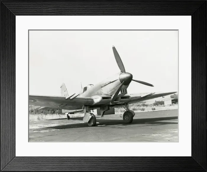 Framed Print : Blackburn Firebrand powered by a Sabre III engine Framed Print : Blackburn Firebrand powered by a Sabre III engine