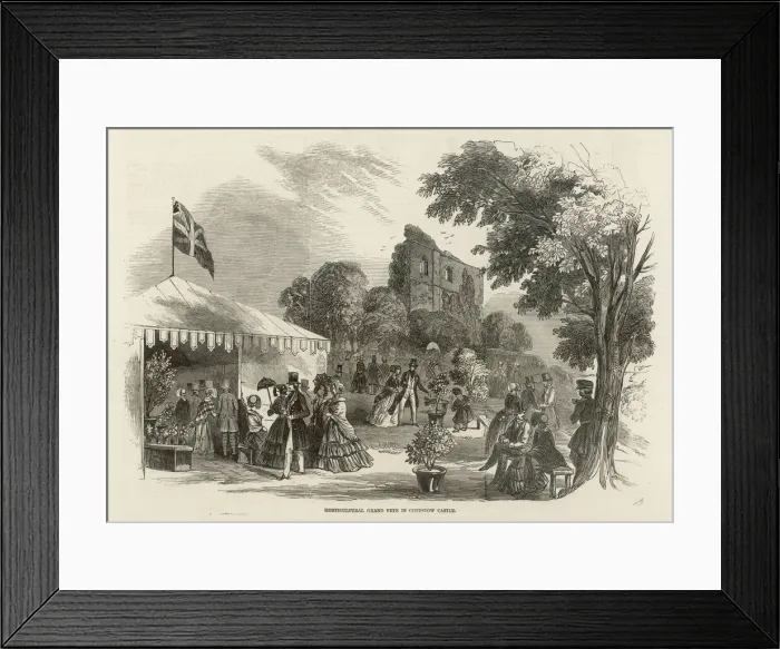 Framed Print : Horticultural fete, Chepstow Castle, South Wales Framed Print : Horticultural fete, Chepstow Castle, South Wales