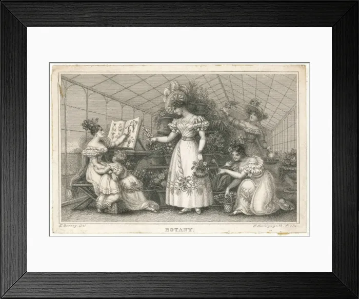 Framed Print : Ladies in a conservatory