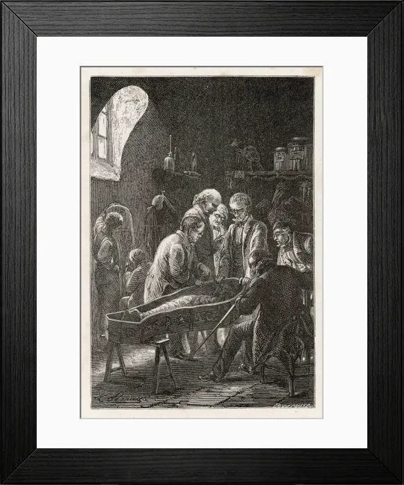 Framed Print : Cailliaud and the Zodiac Framed Print : Cailliaud and the Zodiac