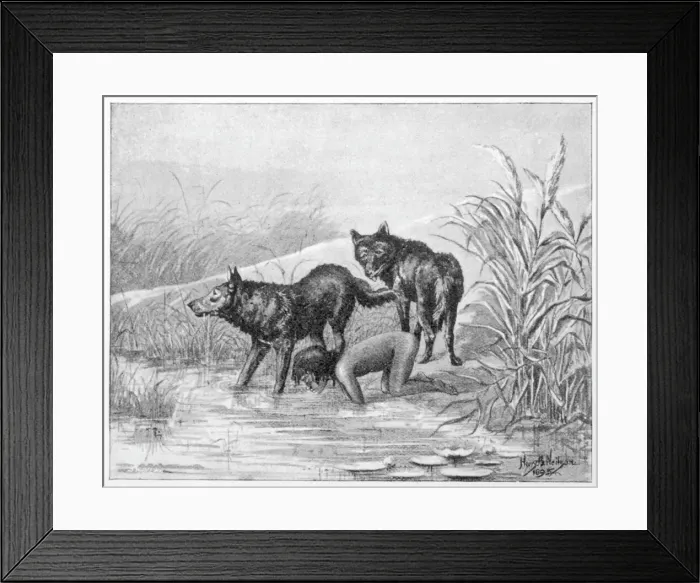 Framed Print : Feral Children Framed Print : Feral Children