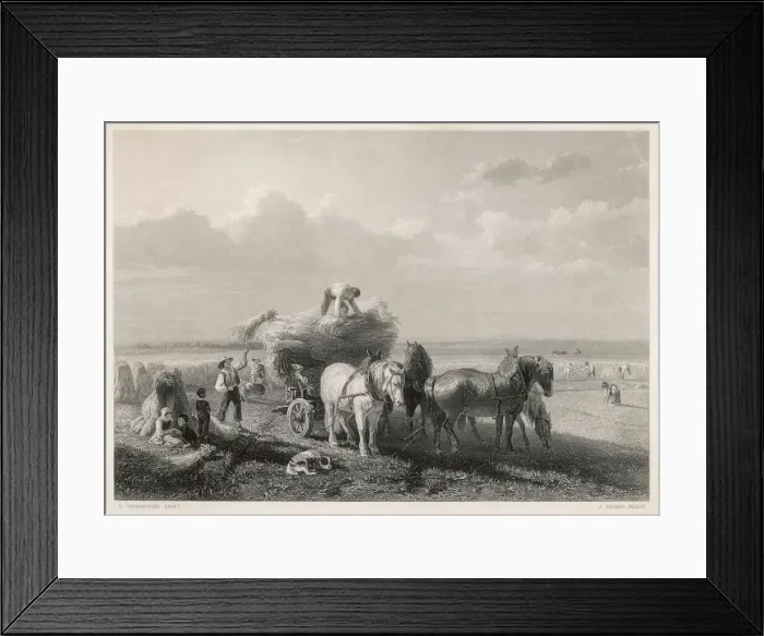 Framed Print : Hay Harvest Framed Print : Hay Harvest