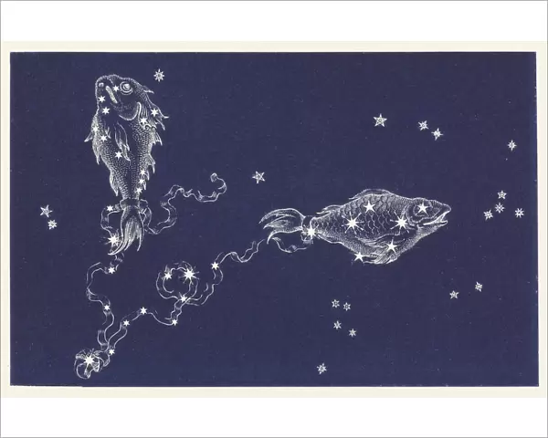 Pisces. The Constellation Pisces