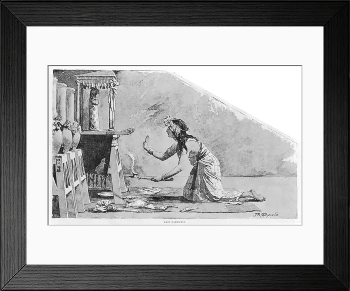 Framed Print : Funeral rites for a cat Framed Print : Funeral rites for a cat
