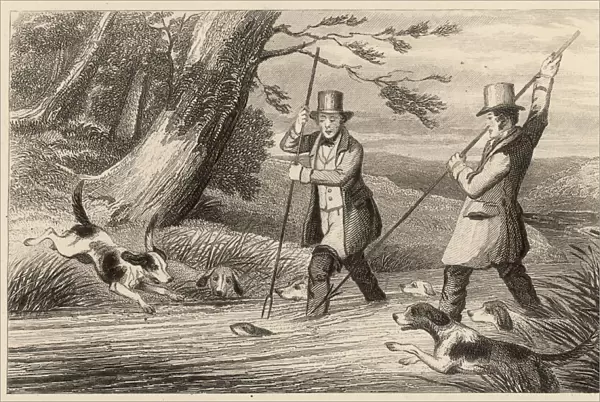 Victorian Otter Hunt