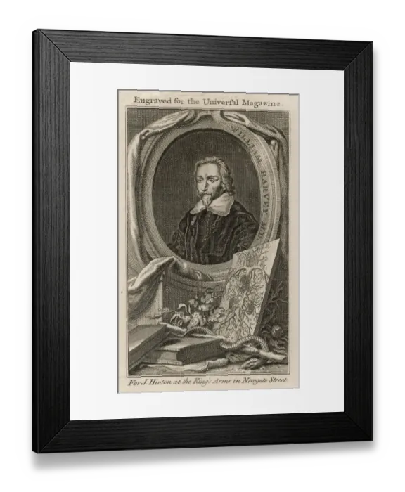 Framed Print : HARVEY (1578-1657) Framed Print : HARVEY (1578-1657)