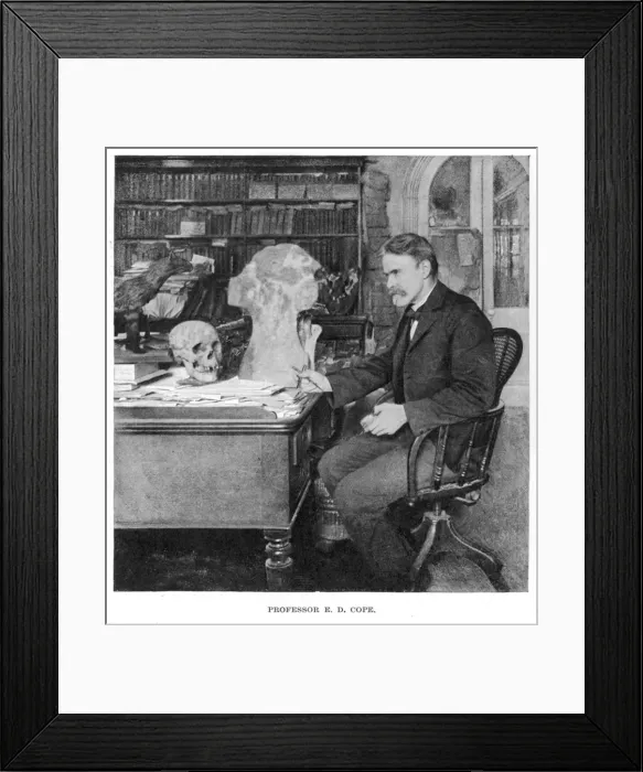 Framed Print : COPE / HARPERS / 1897 Framed Print : COPE / HARPERS / 1897