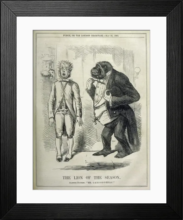 Framed Print : The Lion of the Season Framed Print : The Lion of the Season
