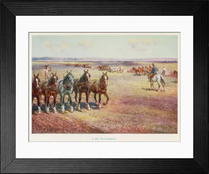 Framed Print : Ploughing, Australia Framed Print : Ploughing, Australia