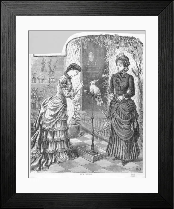 Framed Print : Two Ladies and Parrot Framed Print : Two Ladies and Parrot