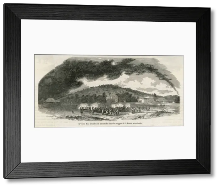 Framed Print : Swarm of Locusts Framed Print : Swarm of Locusts