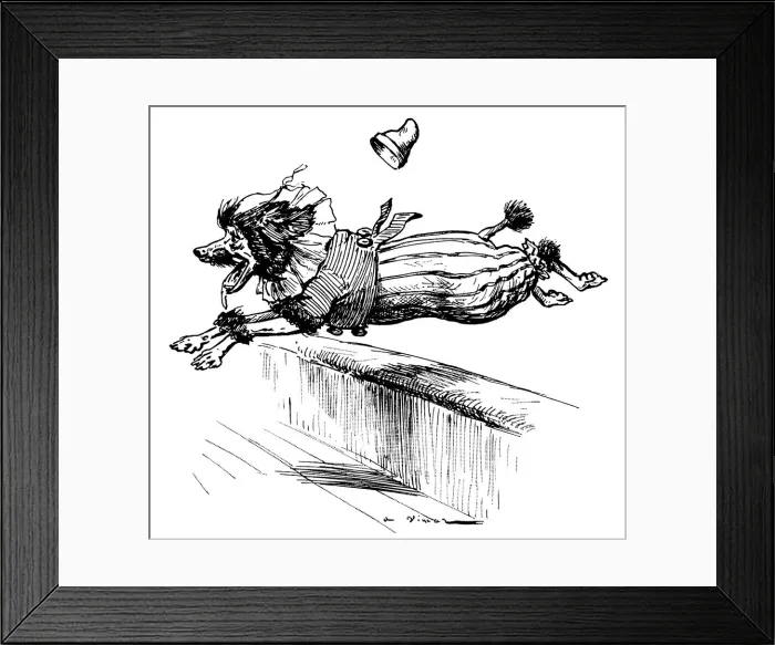 Framed Print : Poodle Jumping Framed Print : Poodle Jumping