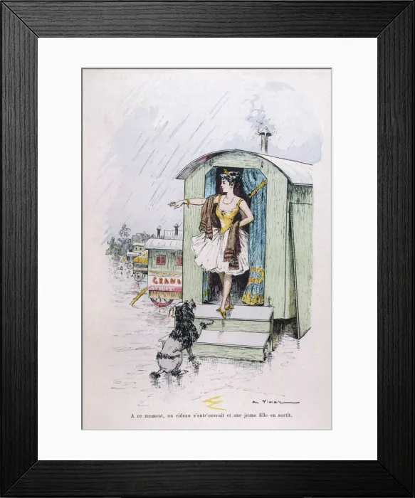 Framed Print : Circus Poodle Ejected Framed Print : Circus Poodle Ejected