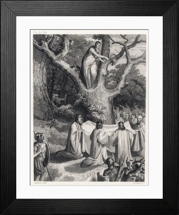 Framed Print : Druids Cut Mistletoe Framed Print : Druids Cut Mistletoe