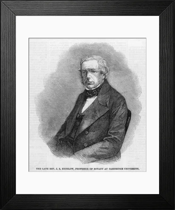Framed Print : HENSLOW (1796 - 1861) Framed Print : HENSLOW (1796 - 1861)