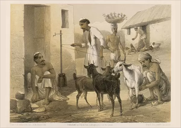 Indian Farmyard 1860