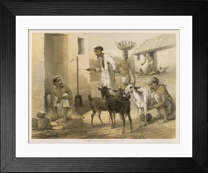 Framed Print : Indian Farmyard 1860 Framed Print : Indian Farmyard 1860