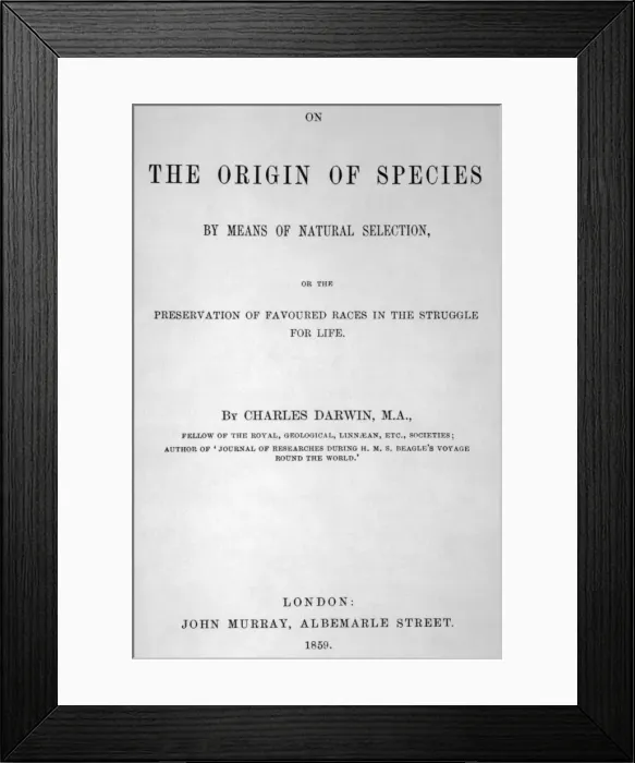 Framed Print : On the Origin of Species Framed Print : On the Origin of Species