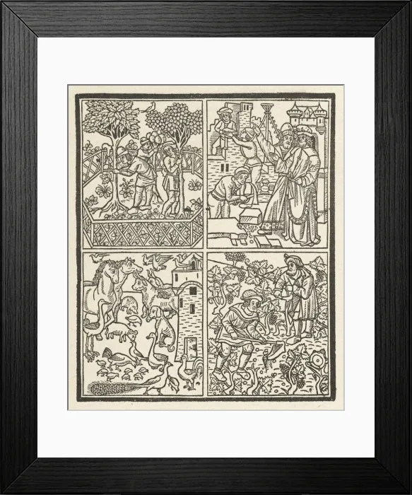 Framed Print : French Farm Activities Framed Print : French Farm Activities