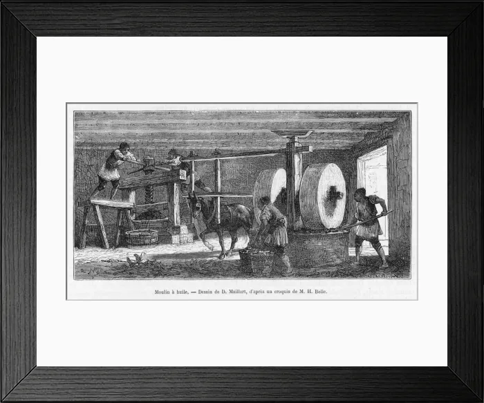 Framed Print : Food and Drink / Olives Framed Print : Food and Drink / Olives
