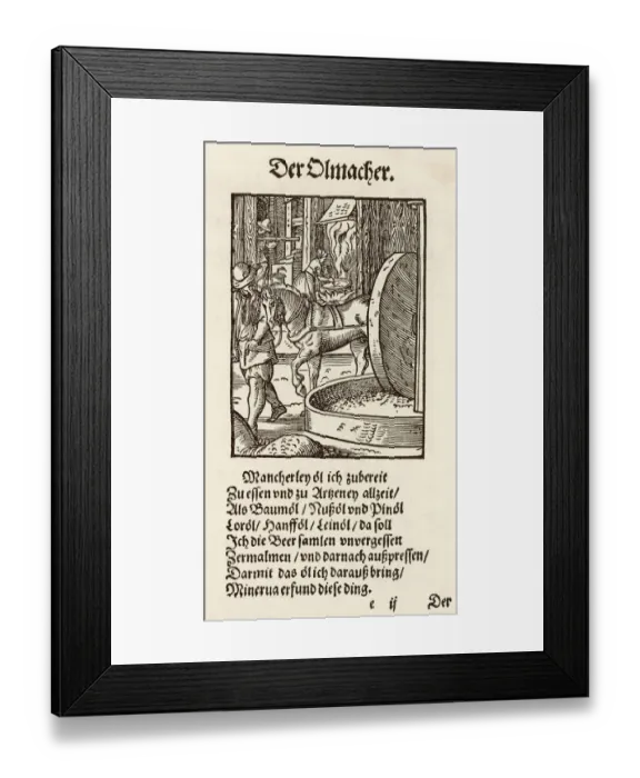 Framed Print : Food and Drink / Olives Framed Print : Food and Drink / Olives