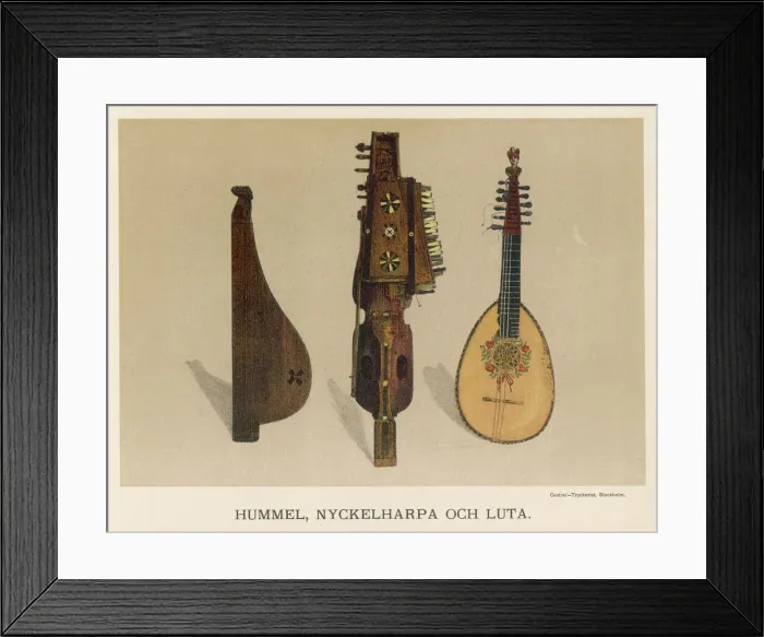 Framed Print : Music / Instruments / String Framed Print : Music / Instruments / String