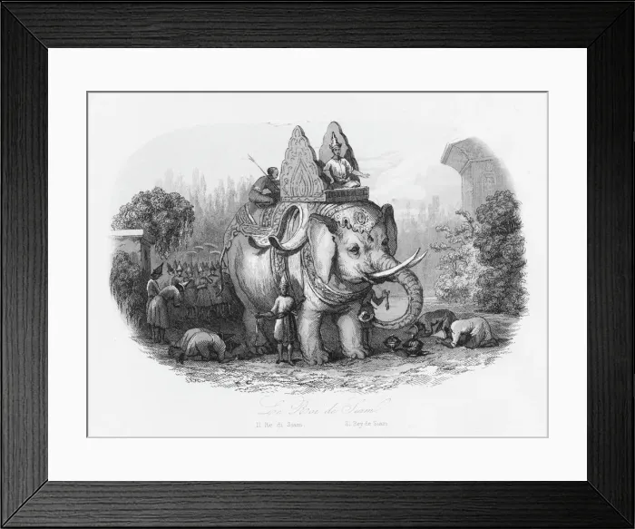 Framed Print : Sacred elephant of the King of Siam Framed Print : Sacred elephant of the King of Siam