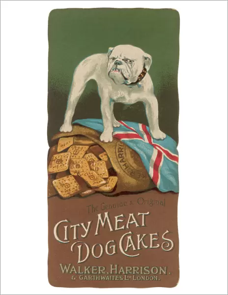Advertisement for City Meat Dog Cakes