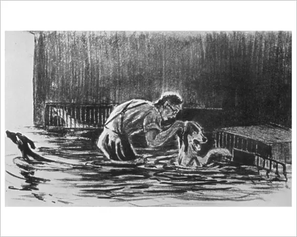 Pavlovs dogs trapped in a flood