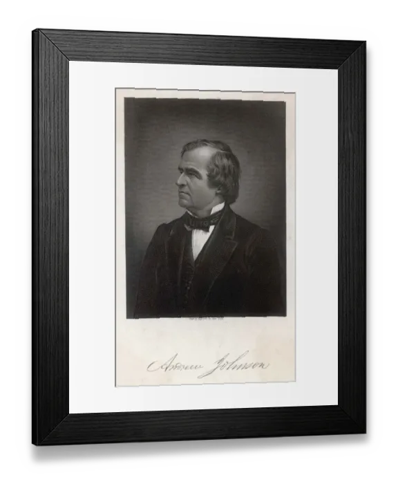 Framed Print : Andrew Johnson, President of the United States Framed Print : Andrew Johnson, President of the United States