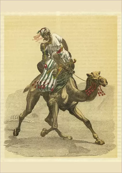 An Arab on his camel