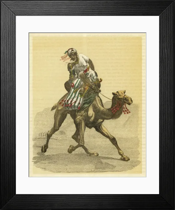 Framed Print : An Arab on his camel Framed Print : An Arab on his camel