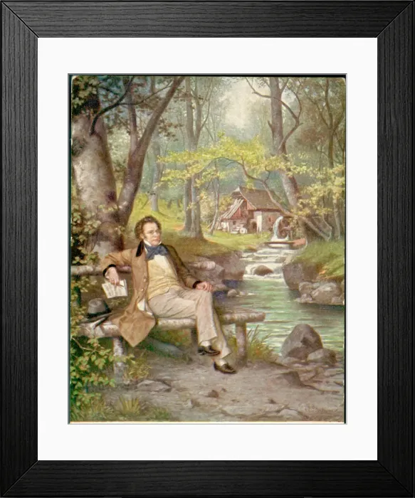 Framed Print : Franz Schubert, Austrian composer and musician Framed Print : Franz Schubert, Austrian composer and musician