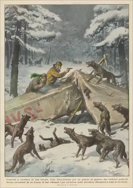 Two Polish aviators confronted by hungry wolves