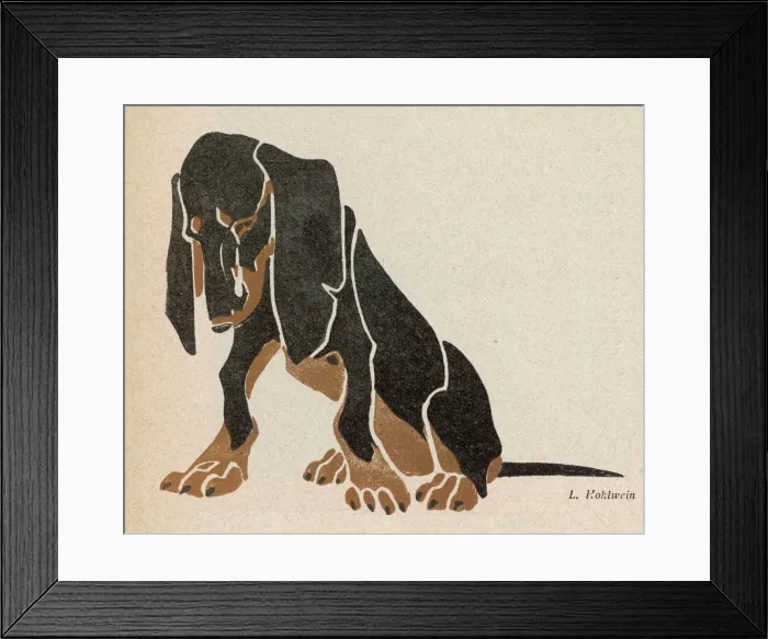 Framed Print : Black and brown Dachshund Framed Print : Black and brown Dachshund
