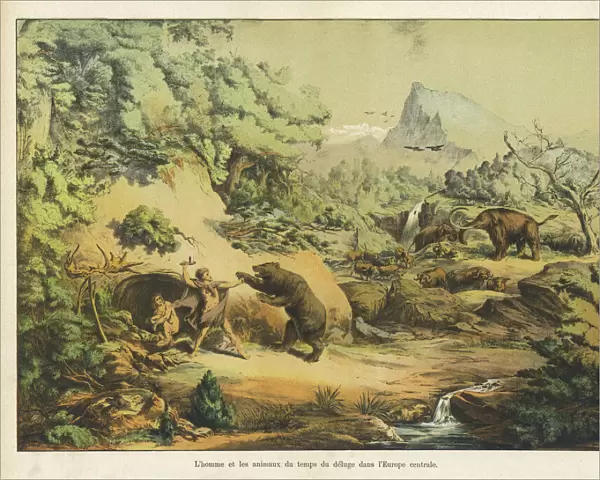 Animals and homo sapiens at the time of the Flood
