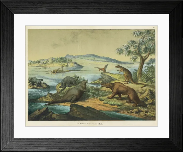 Framed Print : Animals and plants of the post-Jurassic era Framed Print : Animals and plants of the post-Jurassic era