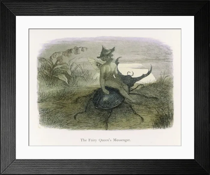 Framed Print : Little Folk / Elves Framed Print : Little Folk / Elves