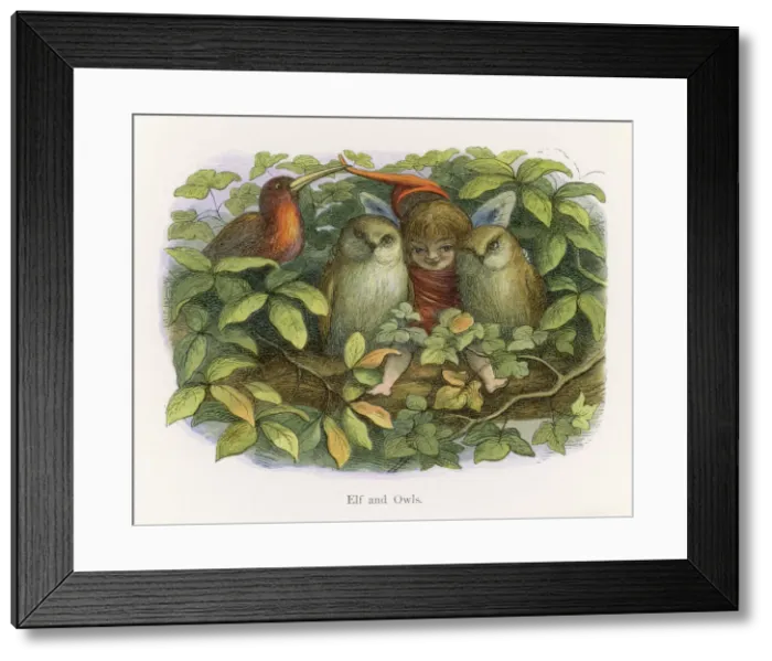 Framed Print : Little Folk / Elves Framed Print : Little Folk / Elves