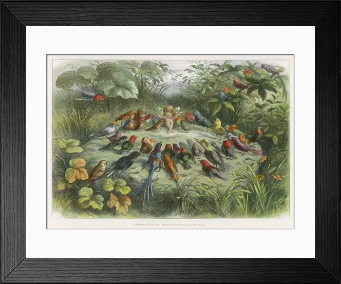 Framed Print : Little Folk / Elves Framed Print : Little Folk / Elves