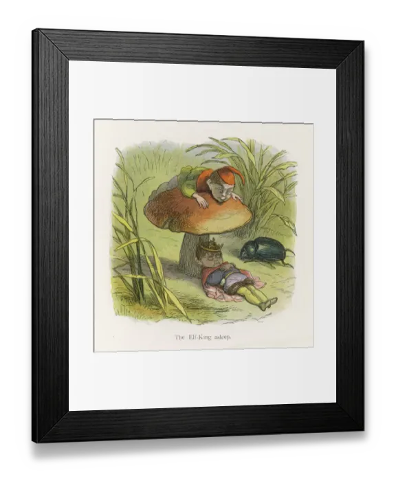 Framed Print : Little Folk / Elves Framed Print : Little Folk / Elves