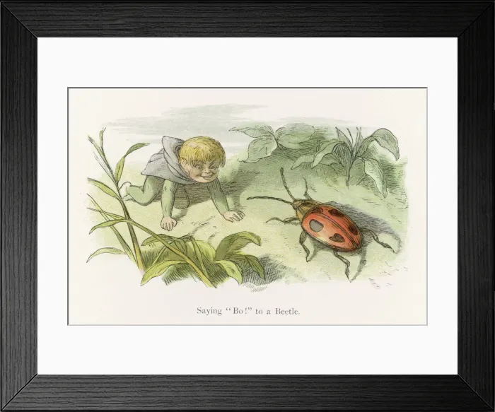 Framed Print : Little Folk / Elves Framed Print : Little Folk / Elves