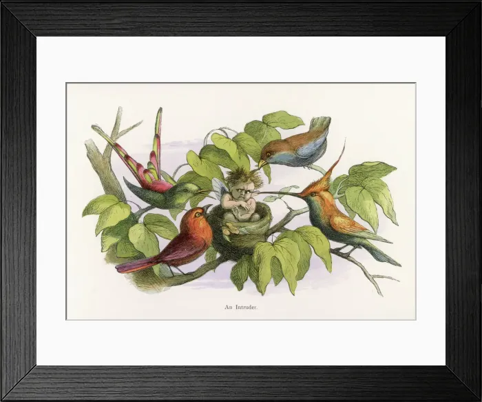 Framed Print : Little Folk / Elves Framed Print : Little Folk / Elves