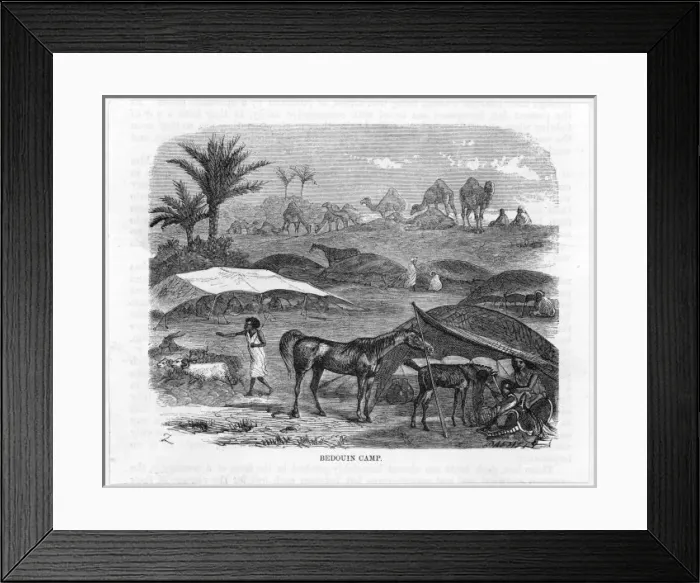 Framed Print : Racial / Arabs / Bedouin Framed Print : Racial / Arabs / Bedouin