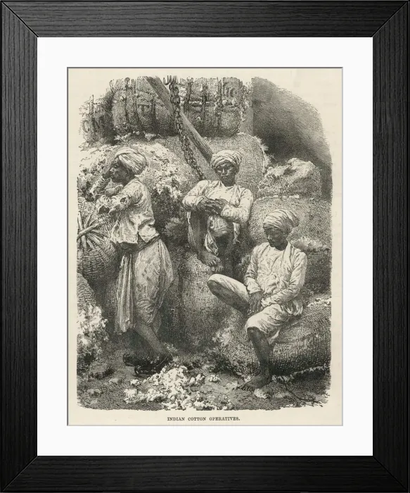 Framed Print : Cotton Workers, India Framed Print : Cotton Workers, India