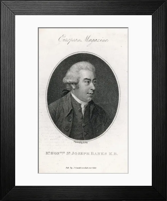 Framed Print : Sir Joseph Banks Framed Print : Sir Joseph Banks