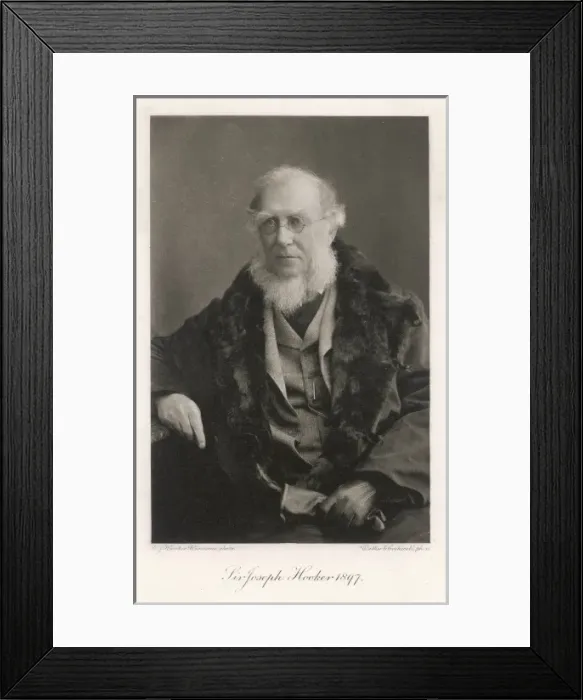 Framed Print : HOOKER (1817 - 1911) Framed Print : HOOKER (1817 - 1911)