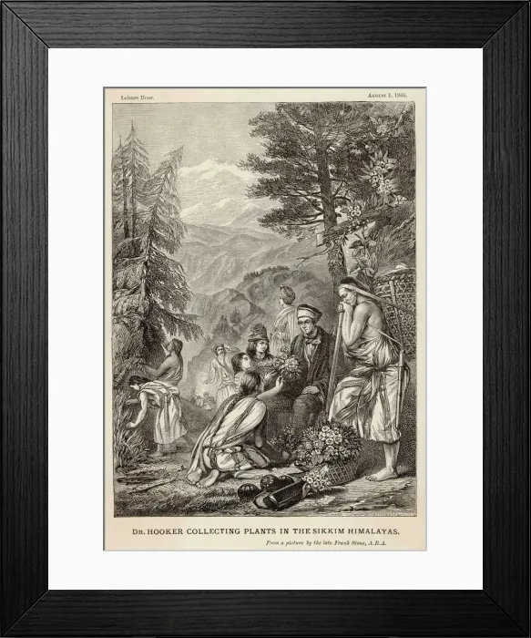 Framed Print : HOOKER (1817 - 1911 Framed Print : HOOKER (1817 - 1911